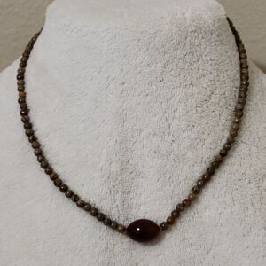 Beautiful Natural Picture Jasper and Carnelian Necklace